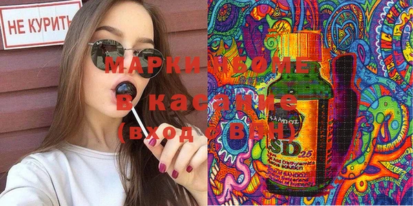PSILOCYBIN Алзамай