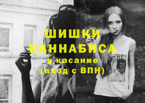 индика Абдулино