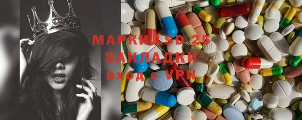 PSILOCYBIN Алзамай